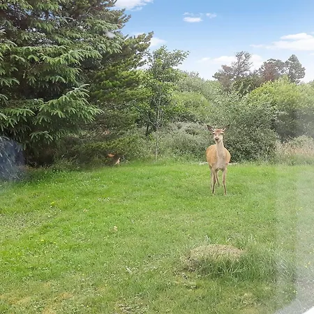 Feriehus Solborg - 400m From The Sea By Interhome Oksbøl