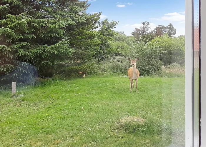 Holiday home Solborg - 400m From The Sea By Interhome Oksbol (Syddanmark)